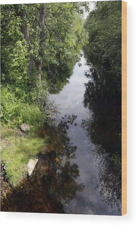 Landscape Wood Print featuring the photograph Collins Creek June 15 2015 by Jim Vance