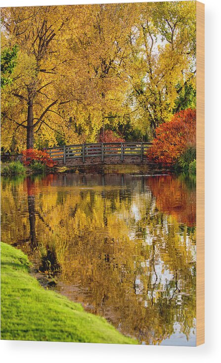 Colorado Wood Print featuring the photograph Colorful Reflections by Kristal Kraft