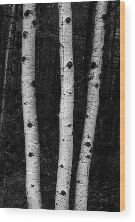 Black White Wood Print featuring the photograph Coming Out Of Darkness by James BO Insogna