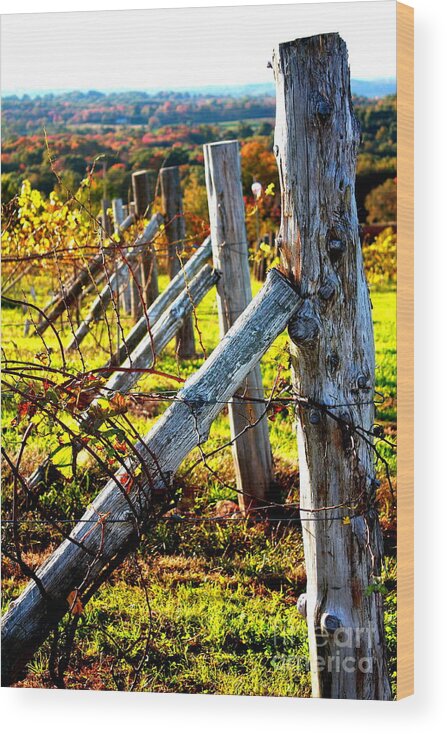 Gouviea Winery Wood Print featuring the photograph Connecticut Winery in Autumn by Pat Moore