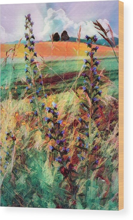 Clouds Wood Print featuring the photograph Country Wildflowers Painting by Debra and Dave Vanderlaan