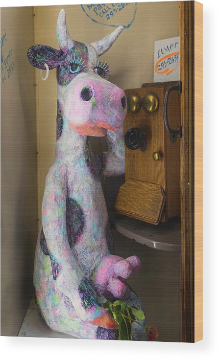 Albuquerque New Mexico Wood Print featuring the photograph Cow In A Phone Booth by Tom Singleton