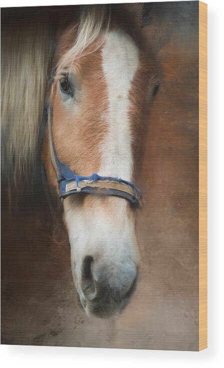 Horse Wood Print featuring the photograph Cow Pony by Robin-Lee Vieira