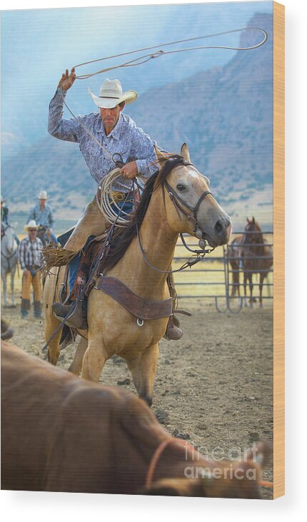 Cowboy Wood Print featuring the photograph Cowboy Roping a Steer by Diane Diederich