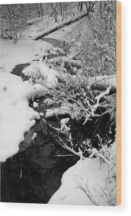 Winter Wood Print featuring the photograph Creek Cloaked in Winter by Scott Kingery