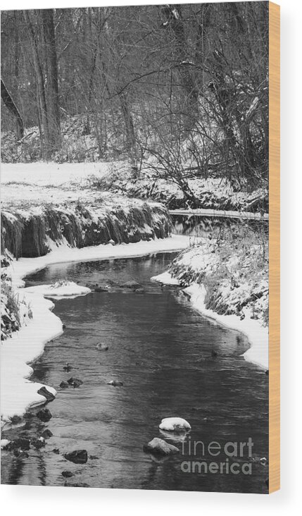 Creek Wood Print featuring the photograph Creek In The Woods In Winter by Tamara Becker