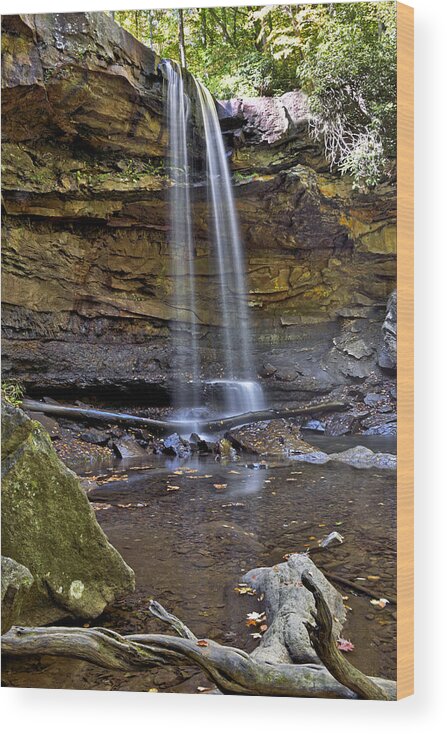 ohiopyle State Park Wood Print featuring the photograph Cucumber Falls in Ohiopyle State Park - Pennsylvania by Brendan Reals