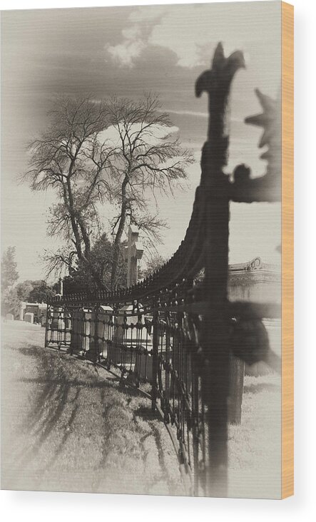 Gate Wood Print featuring the photograph Curved Gate by Scott Wyatt