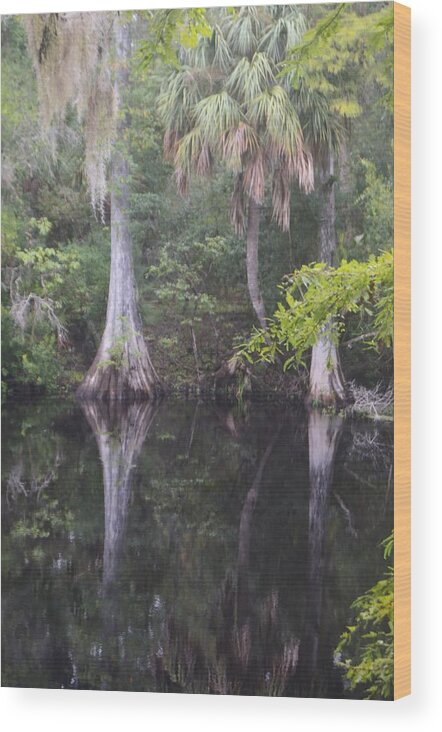 Cypress And Palm Reflections Wood Print featuring the photograph Cypress and Palm Reflections by Warren Thompson