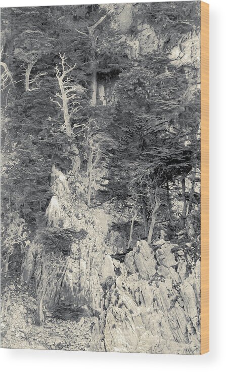 Cypress Wood Print featuring the digital art Cypress Strewn Cliff, Carmel Bay, Point Lobos, State Park Carmel, California by Kathy Anselmo