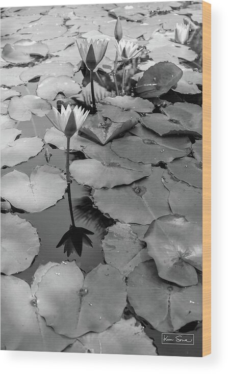 Black And White Wood Print featuring the photograph Deep Reflection by Kim Sowa
