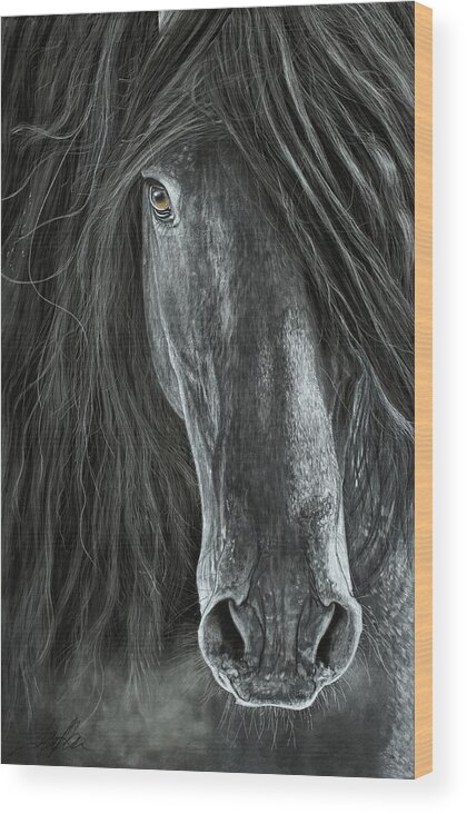 Horse Wood Print featuring the painting Detail In Black by Terry Kirkland Cook