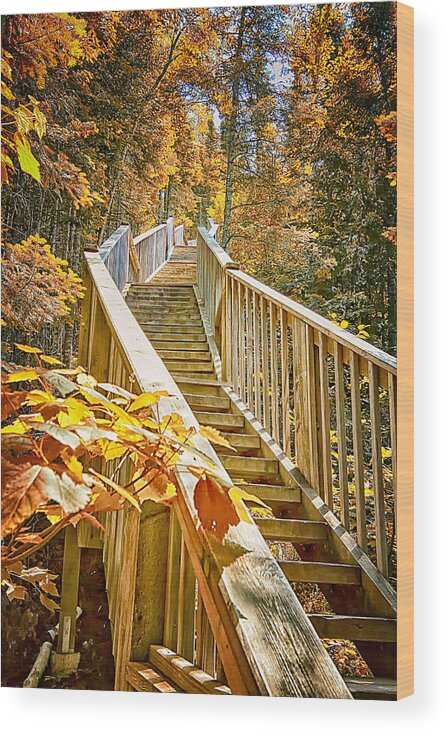 Judge Magney State Park Wood Print featuring the photograph Devil's Kettle Stairway by Linda Tiepelman