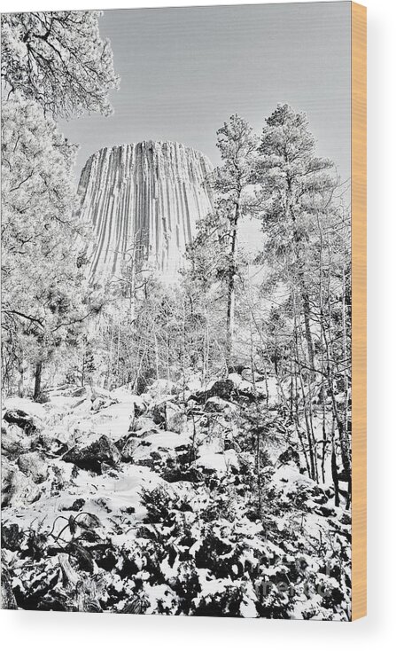 Devils Tower Wood Print featuring the photograph Devils Tower Wyoming by Merle Grenz