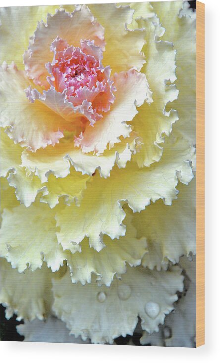 Beautiful Southern Flower Wood Print featuring the digital art Dew. Rain. Tears. by Andy i Za