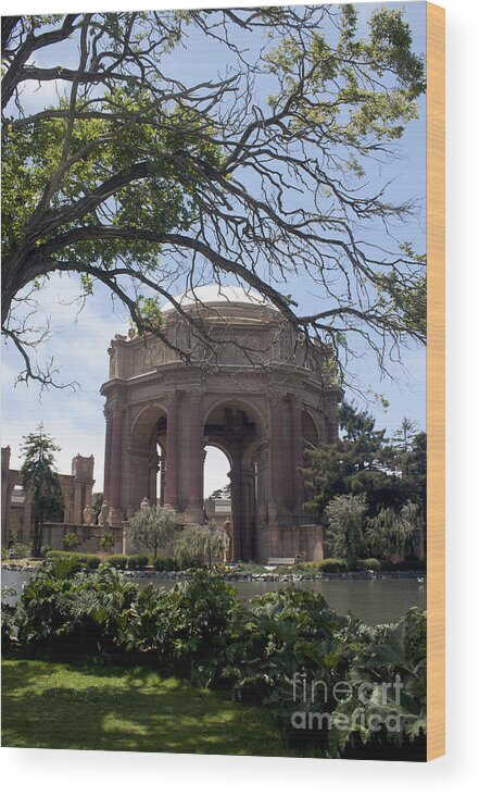 Palace Of Fine Art Wood Print featuring the photograph Dome of Fine Art by Ivete Basso Photography