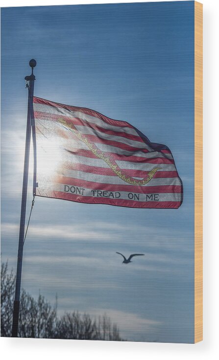 Buffalo And Erie County Naval & Military Park Wood Print featuring the photograph Dont Tread On Me by Chris Bordeleau
