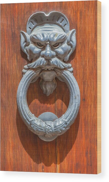 666 Wood Print featuring the painting Door Knocker of Tuscany by David Letts
