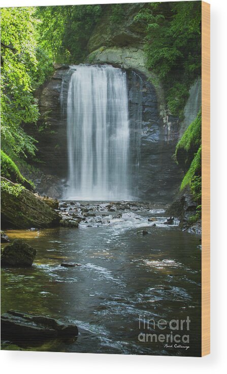 Reid Callaway Looking Glass Falls Wood Print featuring the photograph Downstream Shade Looking Glass Falls Great Smoky Mountains Art by Reid Callaway