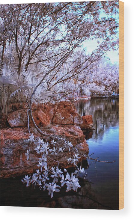Infrared Wood Print featuring the photograph Dreamscape by Edward Kreis