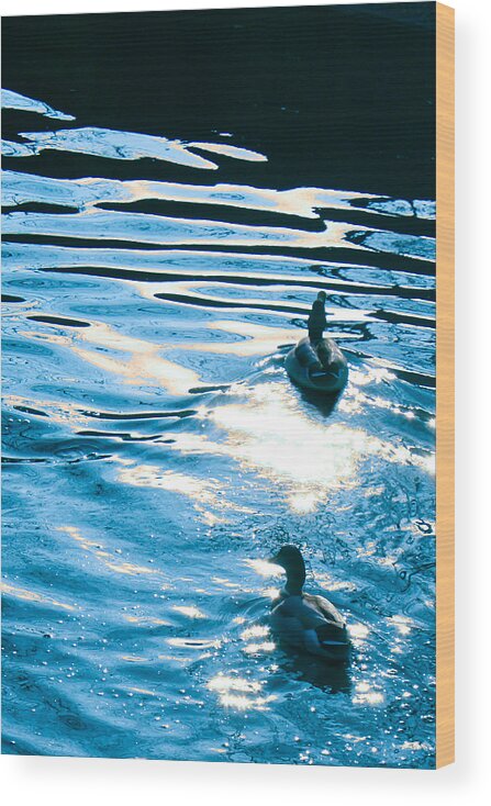 Ginny Gaura Wood Print featuring the painting Ducks At Twilight by Ginny Gaura