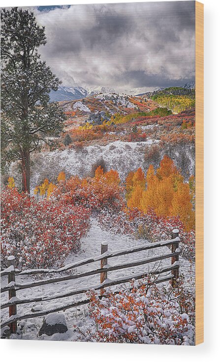 Dallas Divide Wood Print featuring the photograph Early Snowfall at Dallas Divide by Priscilla Burgers