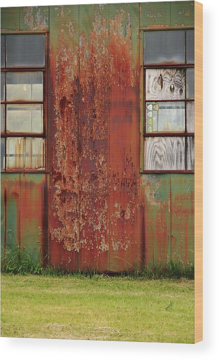 Decay Wood Print featuring the photograph Earth Tones by Kreddible Trout