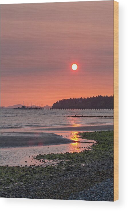 Algae Wood Print featuring the photograph East Beach Sunset by Michael Russell