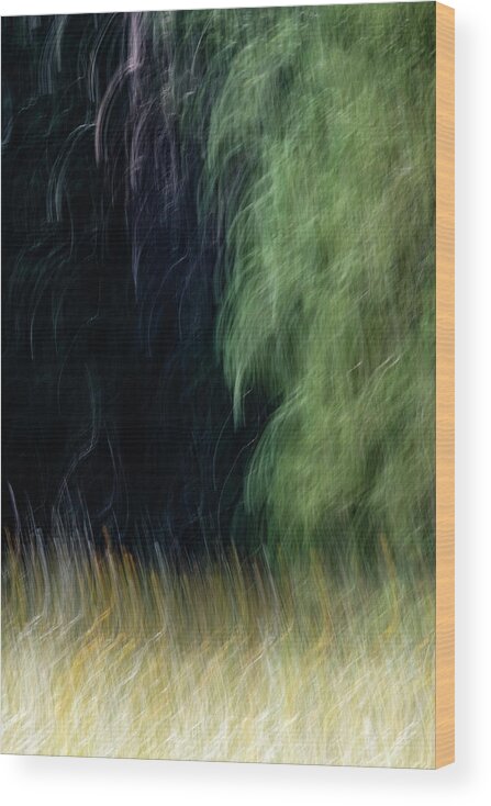 Forest Wood Print featuring the photograph Edge Of The Forest by Deborah Hughes