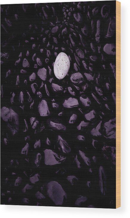 Fine Art Photography Wood Print featuring the photograph Egg by Dave Koch