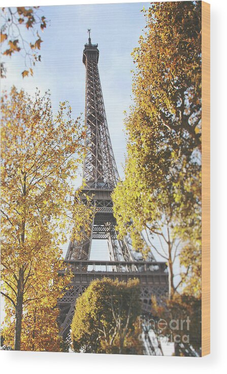 Paris Photography Wood Print featuring the photograph Eiffel tower amidst the autumn foliage by Ivy Ho