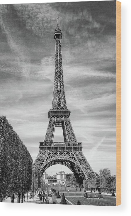 Paris Wood Print featuring the photograph Eiffel Tower - Black and White by Joe Myeress