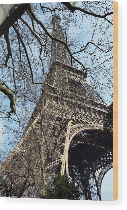 Eiffel Tower Wood Print featuring the photograph Eiffel Tower through a Myriad of Branches Paris France by Shawn O'Brien