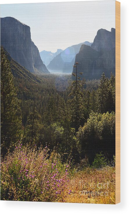 Morning Wood Print featuring the photograph El Capitan and Yosemite Valley by Mary Jane Armstrong