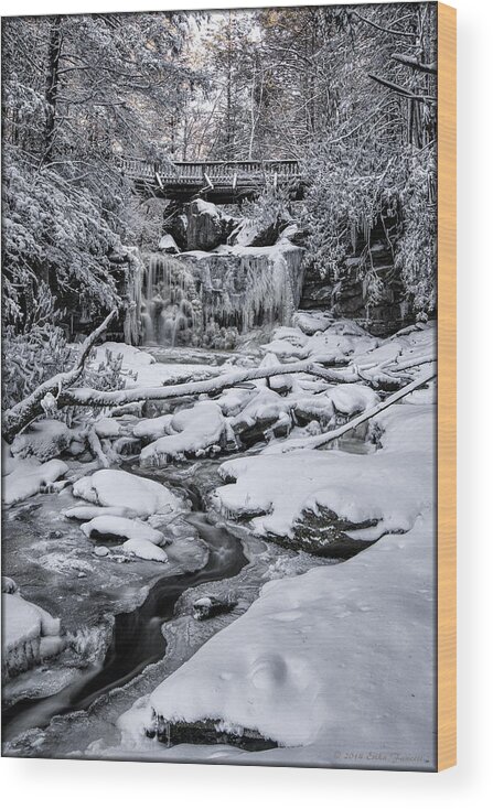 Winter Wood Print featuring the photograph Elakala Falls by Erika Fawcett