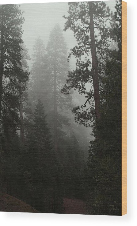 Yosemite Wood Print featuring the photograph Enchanted Forest by David Armentrout