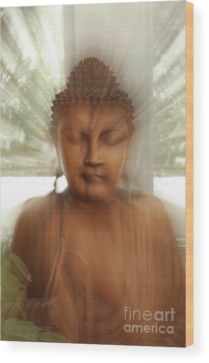 Buddha Wood Print featuring the photograph Enlightened Buddha by Christine Amstutz