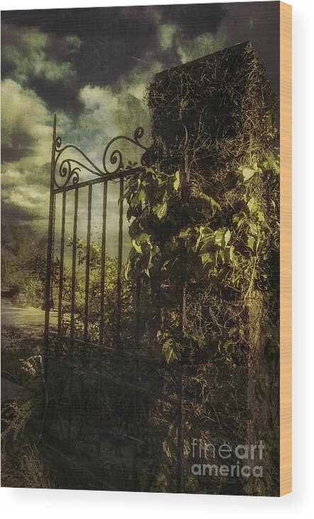 (column Or Pillar) Wood Print featuring the photograph Enter if you Dare by Debra Fedchin