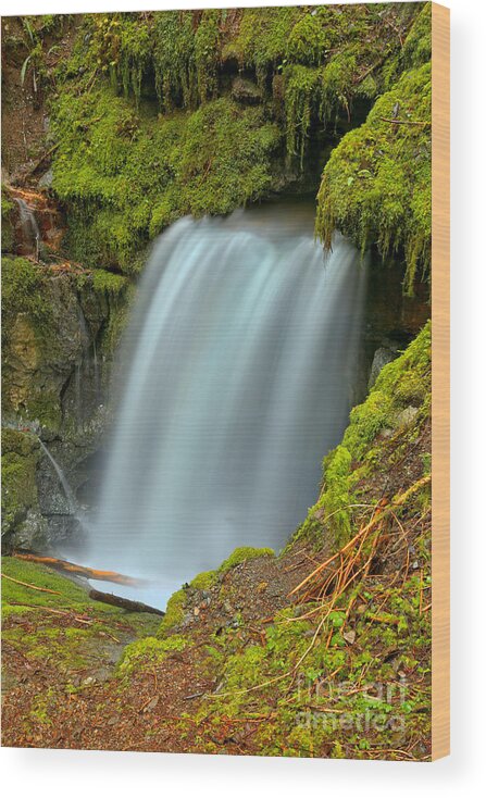 Eternal Fountain Wood Print featuring the photograph Eternal Fountain BC by Adam Jewell