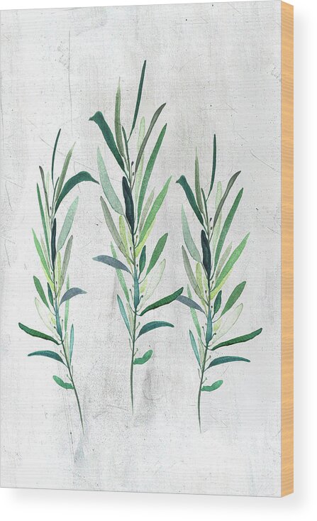 Eucalyptus Wood Print featuring the painting Eucalyptus Branches by Maria Heyens