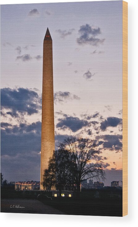 Monument Wood Print featuring the photograph Evening Inspiration by Christopher Holmes