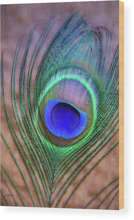 Peacock Wood Print featuring the photograph Eye of the Peacock by Pamela Williams