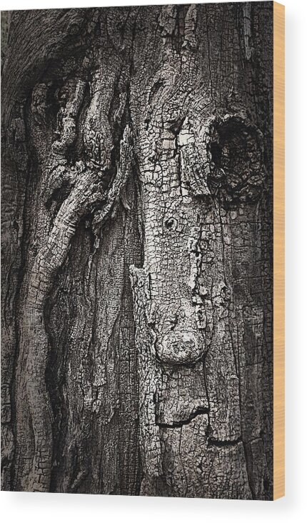  Wood Print featuring the photograph Face in a tree by JoAnn Lense