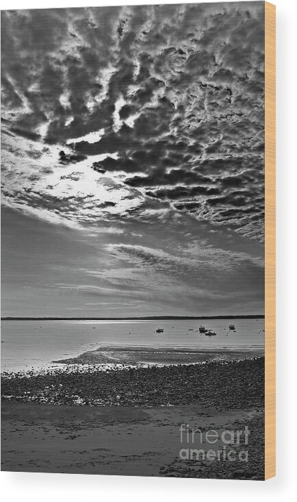 Nature Wood Print featuring the photograph Fading Light In Maine by Skip Willits