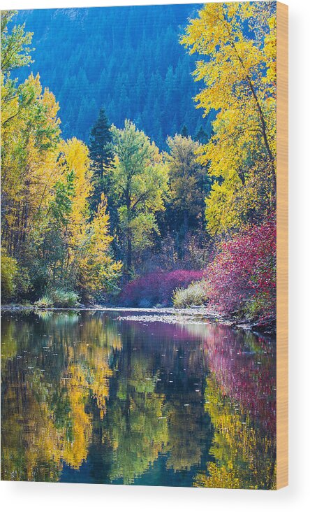 Landscape Wood Print featuring the photograph Fall color reflection by Hisao Mogi