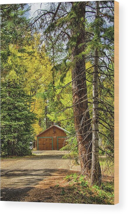 Fall Wood Print featuring the photograph Fall in the forest by Gaelyn Olmsted