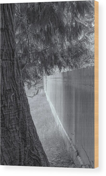 Oregon Coast Wood Print featuring the photograph Fence In Black And White by Tom Singleton