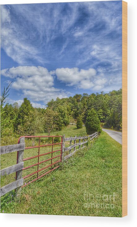 Gate Wood Print featuring the photograph Fenced In by Kerri Farley