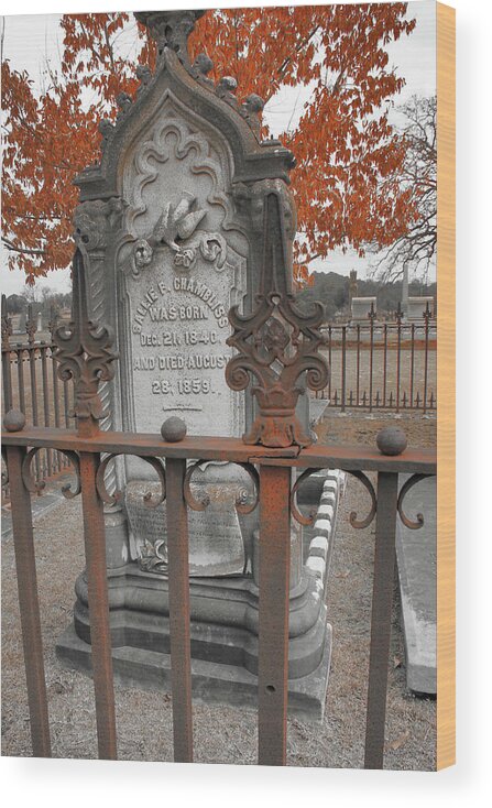 Stone Wood Print featuring the photograph Fencing the Stone by Greg Sharpe