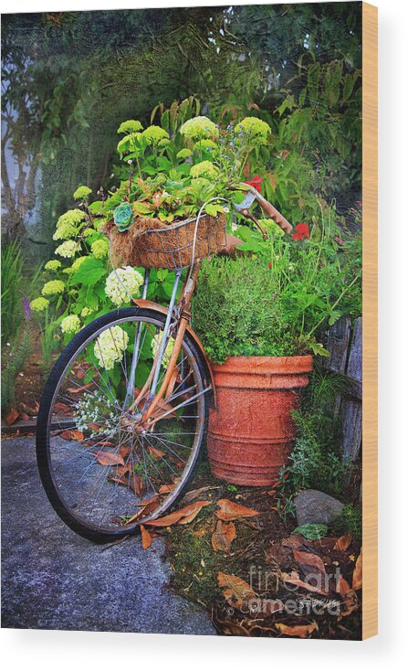 American Wood Print featuring the photograph Fern Dale Flower Bicycle by Craig J Satterlee